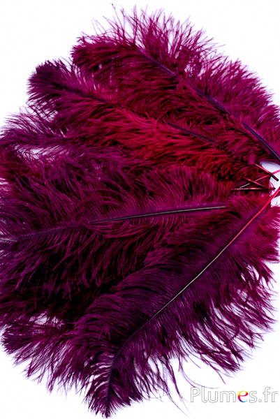 Autruche - 30-40 cm - gris naturel-bordeaux